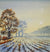 Winter Fields