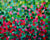The Dreamy Warmth of My Tomato Garden by Sarah C.B. Guthrie
