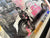 MR Brainwash